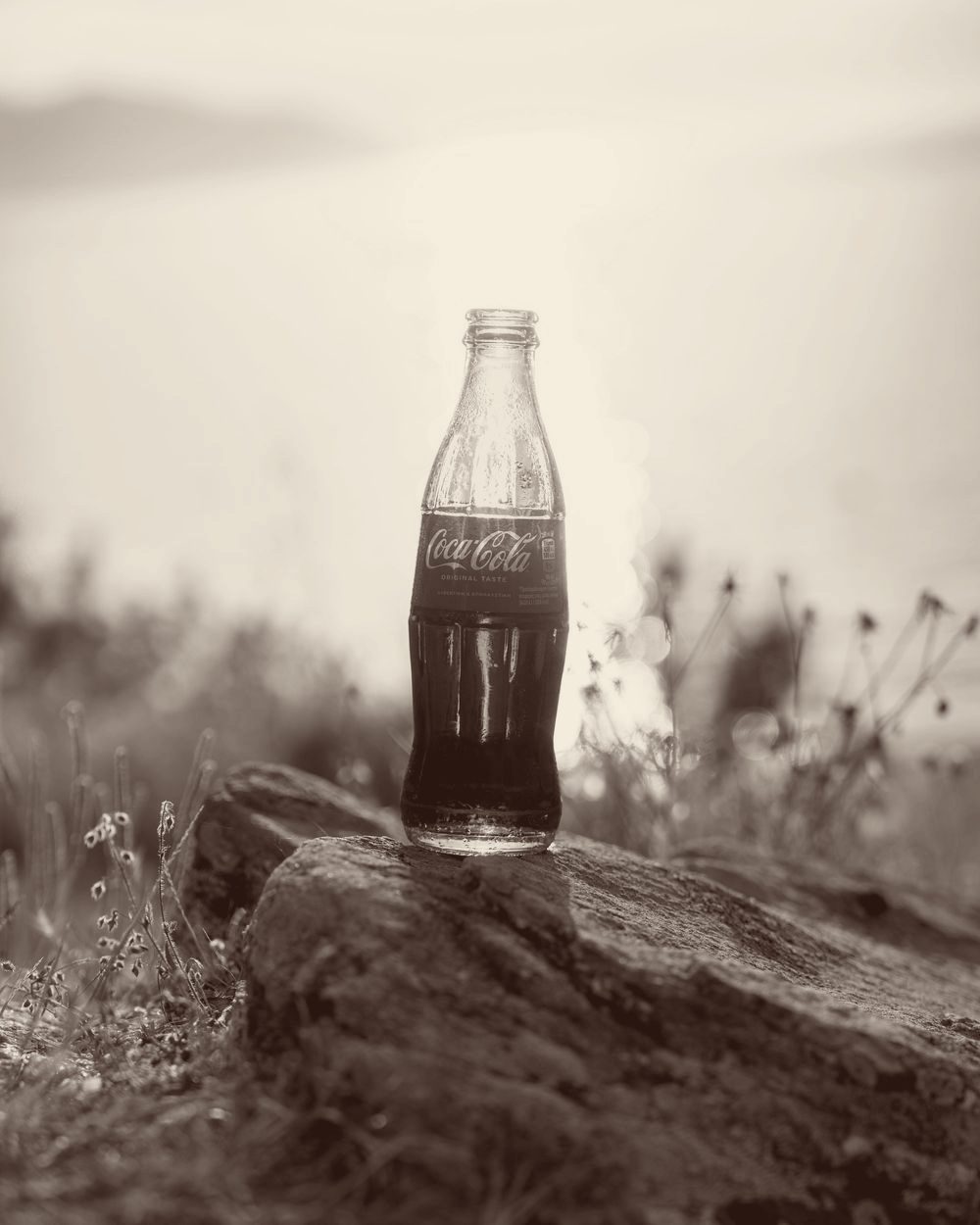 A Coca-Cola bottle on a rock by the sea at sunset